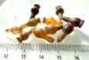 Picture of ANCIENT EGYPT . LOT OF 10 CARNELIAN POPPY SEED AMULET. 1200 B.C  NEW KINGDOM