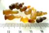 Picture of  ANCIENT EGYPT . LOT OF 10 CARNELIAN POPPY SEED AMULET. 1200 B.C  NEW KINGDOM
