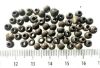Picture of ANCIENT EGYPT . LOT OF 61 SMALL SILVER  ROUND BEADS . 1400 -  1200 B.C  NEW KINGDOM