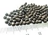 Picture of ANCIENT EGYPT . LOT OF 153 TINY SILVER  ROUND BEADS . 1400 -  1200 B.C  NEW KINGDOM