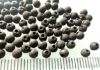 Picture of ANCIENT EGYPT . LOT OF 153 TINY SILVER  ROUND BEADS . 1400 -  1200 B.C  NEW KINGDOM
