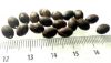Picture of ANCIENT EGYPT . LOT OF 18 SMALL SILVER  OVAL  BEADS . 1400 -  1200 B.C  NEW KINGDOM