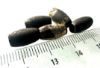 Picture of ANCIENT EGYPT . LOT OF 5 SILVER  MELON SHAPED  BEADS . 1400 -  1200 B.C  NEW KINGDOM
