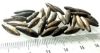 Picture of  ANCIENT EGYPT . LOT OF 28 SILVER  BEADS . 1400 -  1200 B.C  NEW KINGDOM