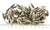 Picture of ANCIENT EGYPT . LOT OF 77 SILVER  BEADS . 1400 -  1200 B.C  NEW KINGDOM