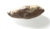 Picture of Greek Near East. Lead sling bullet (35 x 13 x 12 mm, 27.50g).
