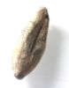 Picture of Greek Near East. Lead sling bullet (35 x 13 x 12 mm, 27.50g).