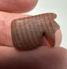 Picture of ANCIENT EGYPT - AGATE EYE OF  HORUS AMULET . 1400 - 1200  B.C. NEW KINGDOM