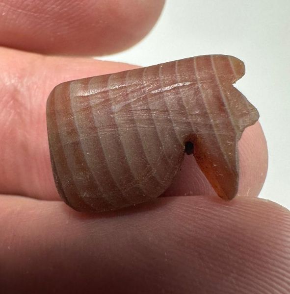 Picture of ANCIENT EGYPT - AGATE EYE OF  HORUS AMULET . 1400 - 1200  B.C. NEW KINGDOM