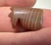 Picture of ANCIENT EGYPT - AGATE EYE OF  HORUS AMULET . 1400 - 1200  B.C. NEW KINGDOM