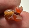Picture of ANCIENT EGYPT, NEW KINGDOM CARNELIAN CAT AMULET. 1400 B.C