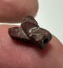 Picture of ANCIENT EGYPT, NEW KINGDOM RED JASPER FLY AMULET. 1400 B.C