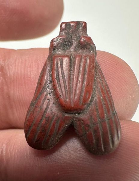 Picture of ANCIENT EGYPT, NEW KINGDOM RED JASPER FLY AMULET. 1400 B.C