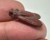 Picture of ANCIENT EGYPT, NEW KINGDOM RED JASPER FLY AMULET. 1400 B.C