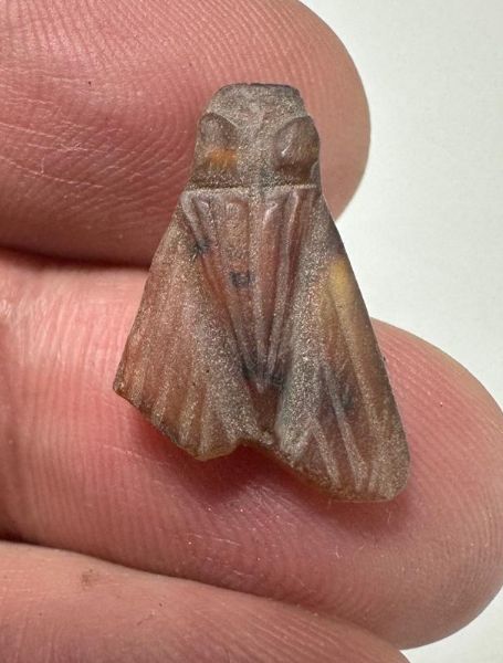 Picture of ANCIENT EGYPT, NEW KINGDOM CARNELIAN FLY AMULET. 1400 B.C