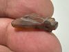 Picture of ANCIENT EGYPT, NEW KINGDOM CARNELIAN FLY AMULET. 1400 B.C