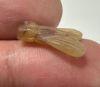 Picture of ANCIENT EGYPT, NEW KINGDOM STONE FLY AMULET. 1400 B.C