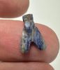 Picture of ANCIENT EGYPT, NEW KINGDOM LAPIS LAZUL FLY AMULET. 1400 B.C