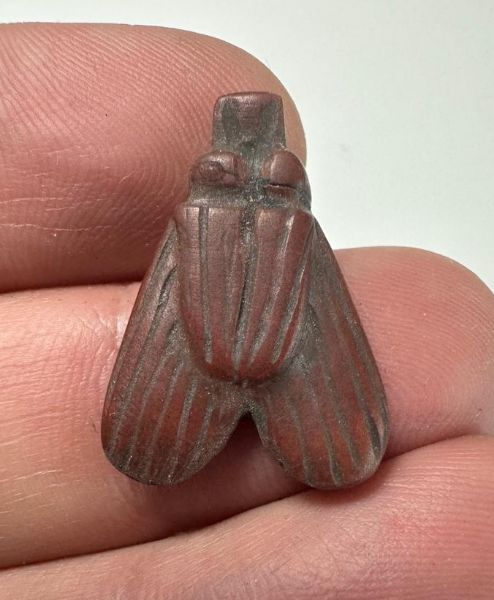 Picture of ANCIENT EGYPT, NEW KINGDOM RED JASPER FLY AMULET. 1400 B.C