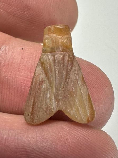 Picture of ANCIENT EGYPT. CARNELIAN FLY AMULET. 1250 B.C  NEW KINGDOM