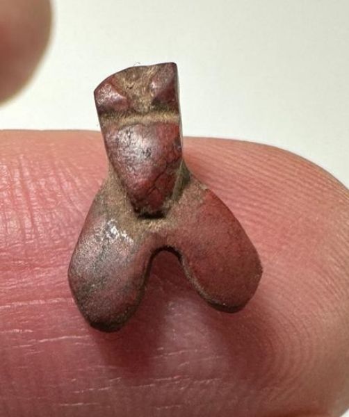 Picture of ANCIENT EGYPT, NEW KINGDOM RED JASPER FLY AMULET. 1400 B.C