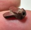 Picture of ANCIENT EGYPT, NEW KINGDOM RED JASPER FLY AMULET. 1400 B.C