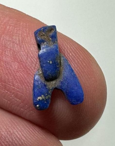 Picture of ANCIENT EGYPT, NEW KINGDOM LAPIS LAZUL FLY AMULET. 1400 B.C