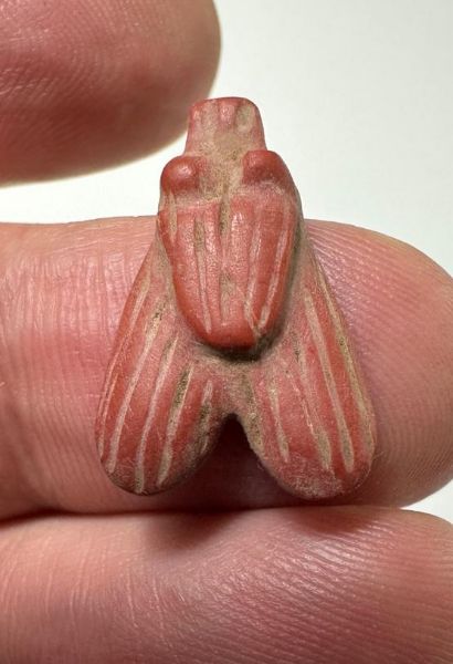 Picture of ANCIENT EGYPT, NEW KINGDOM RED JASPER FLY AMULET. 1400 B.C
