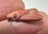 Picture of ANCIENT EGYPT, NEW KINGDOM RED JASPER FLY AMULET. 1400 B.C