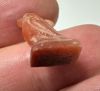 Picture of ANCIENT EGYPT, NEW KINGDOM CARNELIAN HORUS AMULET. 1400 B.C