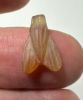 Picture of ANCIENT EGYPT, NEW KINGDOM STONE FLY AMULET. 1400 B.C