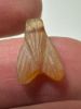 Picture of ANCIENT EGYPT, NEW KINGDOM STONE FLY AMULET. 1400 B.C