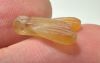 Picture of ANCIENT EGYPT, NEW KINGDOM STONE FLY AMULET. 1400 B.C