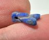 Picture of ANCIENT EGYPT, NEW KINGDOM LAPIS LAZUL FLY AMULET. 1400 B.C