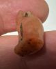 Picture of ANCIENT EGYPT, NEW KINGDOM CARNELIAN CAT AMULET. 1400 B.C