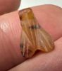 Picture of ANCIENT EGYPT, NEW KINGDOM STONE FLY AMULET. 1400 B.C