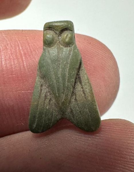 Picture of ANCIENT EGYPT, NEW KINGDOM STONE FLY AMULET. 1400 B.C