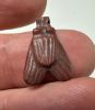 Picture of ANCIENT EGYPT, NEW KINGDOM RED JASPER FLY AMULET. 1400 B.C
