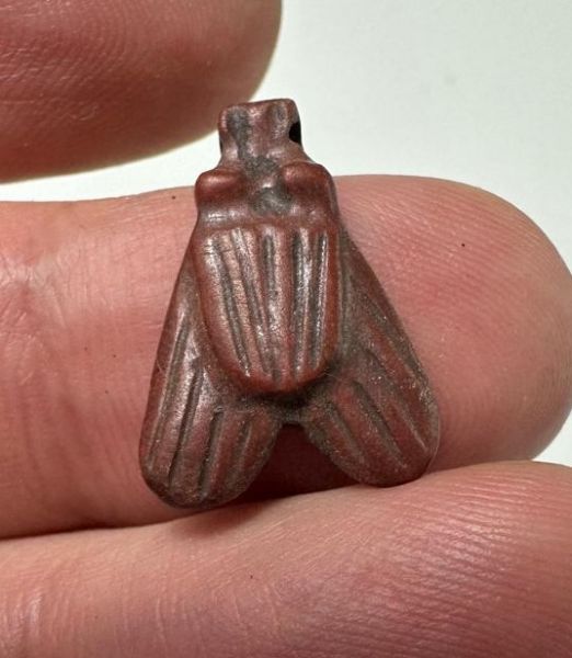 Picture of ANCIENT EGYPT, NEW KINGDOM RED JASPER FLY AMULET. 1400 B.C