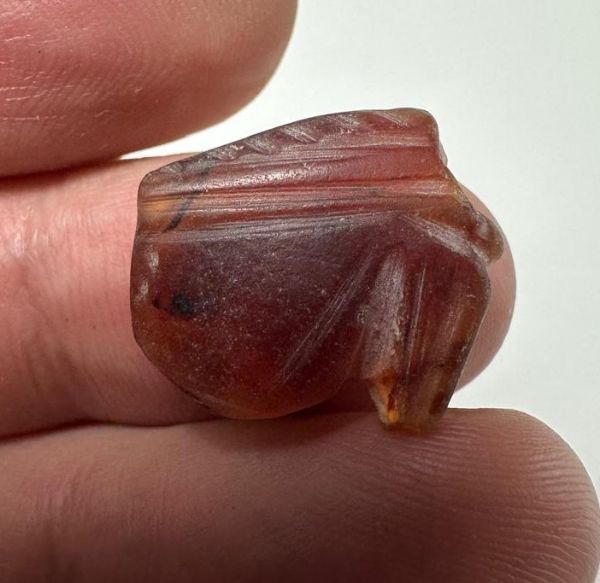 Picture of  ANCIENT EGYPT. CARNELIAN EYE OF HORUS AMULET. 1250 B.C  NEW KINGDOM
