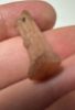 Picture of ANCIENT EGYPT, NEW KINGDOM CARNELIAN STANDING MALE AMULET. 1400 B.C