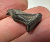 Picture of ANCIENT EGYPT, NEW KINGDOM STONE HORUS AMULET. 1400 B.C