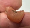 Picture of ANCIENT EGYPT, NEW KINGDOM CARNELIAN CAT AMULET. 1400 B.C