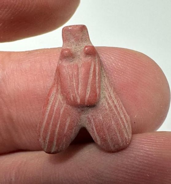 Picture of ANCIENT EGYPT, NEW KINGDOM RED JASPER FLY AMULET. 1400 B.C