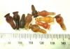 Picture of ANCIENT EGYPT . LOT OF 10 CARNELIAN POPPY SEED AMULET. 1200 B.C  NEW KINGDOM