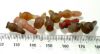Picture of  ANCIENT EGYPT . LOT OF 10 CARNELIAN POPPY SEED AMULET. 1200 B.C  NEW KINGDOM