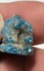 Picture of   Ancient Egypt. FAIENCE SOW AMULET . New Kingdom . 14th Century B.C