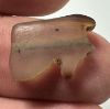 Picture of ANCIENT EGYPT. AGATE  EYE OF HORUS AMULET. 1250 B.C  NEW KINGDOM