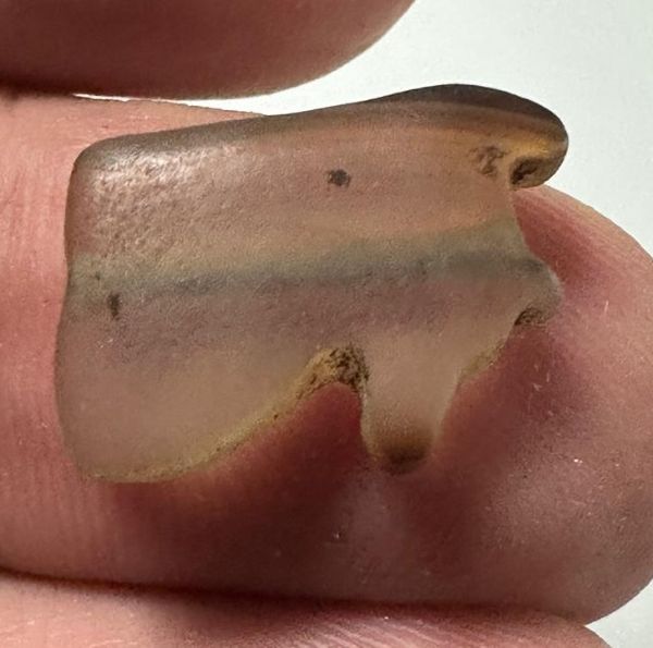 Picture of ANCIENT EGYPT. AGATE  EYE OF HORUS AMULET. 1250 B.C  NEW KINGDOM