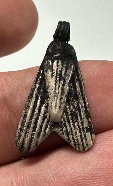 Picture of ANCIENT EGYPT. NEW KINGDOM SILVER FLY AMULET. 1250 B.C